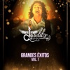 Grandes Éxitos, Vol. 1