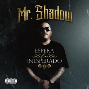Espera Lo Inesperado - Single