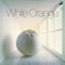 Eat Your Heart Out - White Orange lyrics