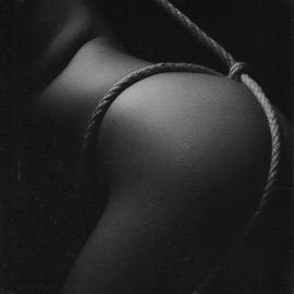 XXX Shaker & Velvet Cash