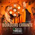BOIADEIRO ERRANTE