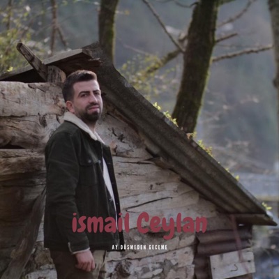 Ay Düşmeden Geceme - Single