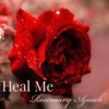 Heal Me - Single