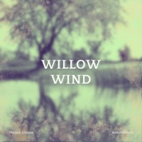 Willow Wind - EP - Freddie Losambe