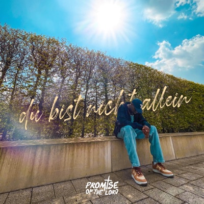 Du bist nicht allein - Single