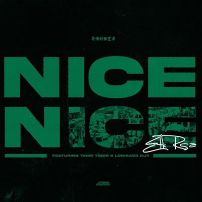 Nice Nice (feat. Lowbass Djy & Tame Tiger) - Single