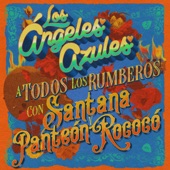 A Todos los Rumberos artwork