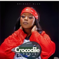 Crocodile Tears - Single - Bridget Blue