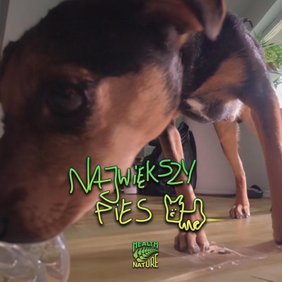 Największy Pies (feat. MVZR) - Single