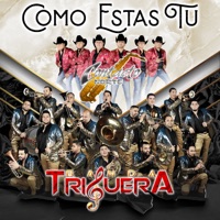 Como Estas Tu - Single - Banda Triguera & Contacto Norte