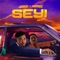 Seyi (feat. Harteez) - leesod lyrics
