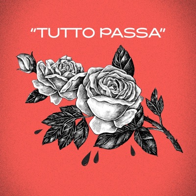 Tutto passa (feat. Xela Baby) - Single