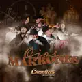 OJOS MARRONES