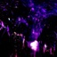 Effervescence - Single