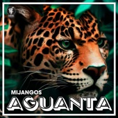 Aguanta artwork