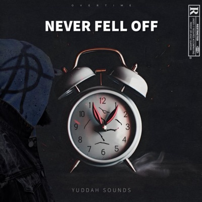 Never Fell Off - Single