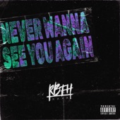 Never Wanna See You Again artwork