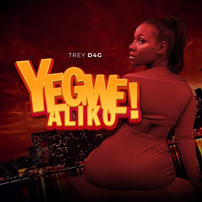 Yegwe Aliko - Single