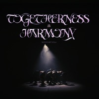 Togetherness Harmony - Single - Blackhouse, Pelussje, Gipsyan & Ultraviolet