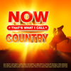 NOW That's What I Call Country - Various Artists