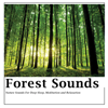 Forest Sounds - Nature Sound Emporium