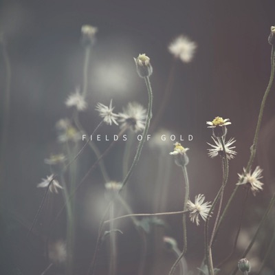 Fields of Gold - Single