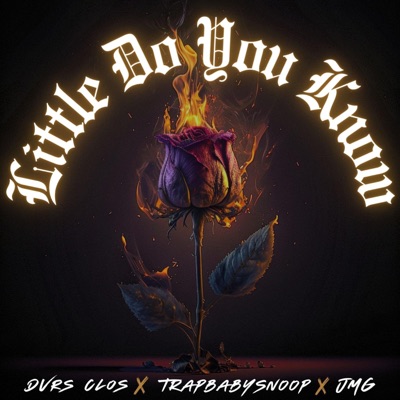 Little Do You Know - Single