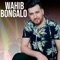 Izran Narif (2020 Rkas Watay) - Wahib Bongalo lyrics