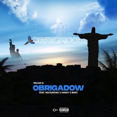 Obrigadow (feat. Hakey Law & Ngoundieu) - Single