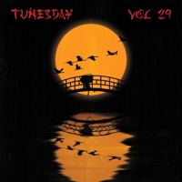 Tunesday, Vol. 29 - Slamhaus
