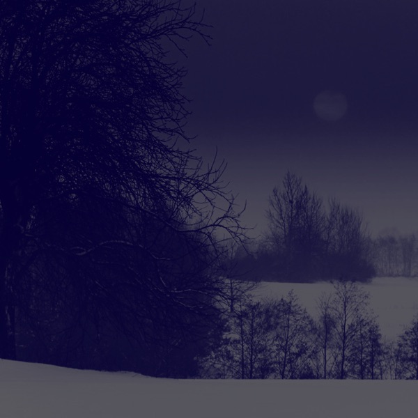 Winter - Single