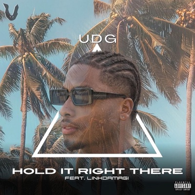 Hold It Right There (feat. Linkdamagi) - Single