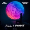 All I Want - Single