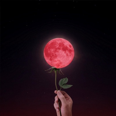 Touch the Moon - Single