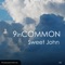 Sweet John - 9 In Common lyrics