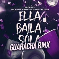 Ella Baila Sola (Guaracha) - Single - Alda Dj
