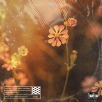 Thankful (feat. Tamy Stevens) - Single - Oswin Benjamin