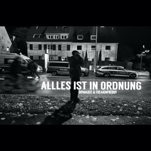 Alles ist in Ordnung - Single