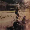 Cocoons