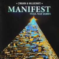 Manifest - Single - Zingara & Hallucinate