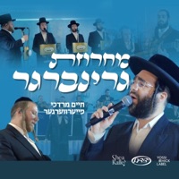 Greenberger Medley - מחרוזת גרינברגר (feat. Chaim Mordche Feuerwarger & Yedidim Choir) - Single - Shea Kaller Band