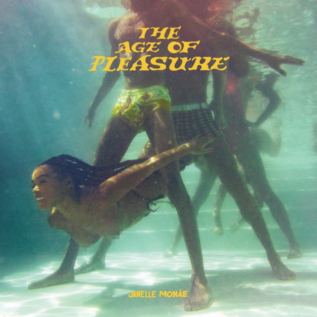 The Age of Pleasure Album Cover