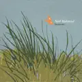 Seasons (Surf Style)