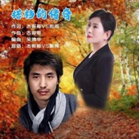 搭档的传奇 - Single - 杰哥哥 & 萍聚