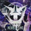 Never Gone (Extended Mix) - Single