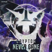 Never Gone (Extended Mix) artwork