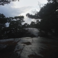 Pink Beach - Single - Clara Clara