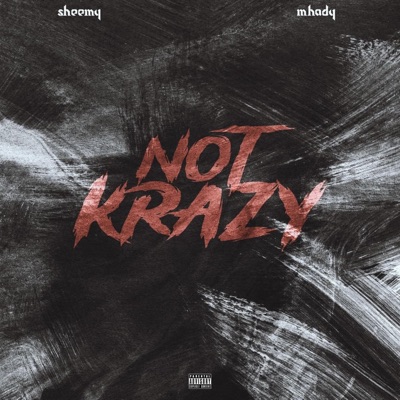 Who Krazy ? (feat. Mhady2hottie) - Single