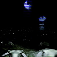 Barren Insides (feat. Sellasouls) - Single - Øddlørd