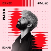 Rock My Body (with Sash!) [W&W x R3HAB VIP Remix] [Mixed] artwork